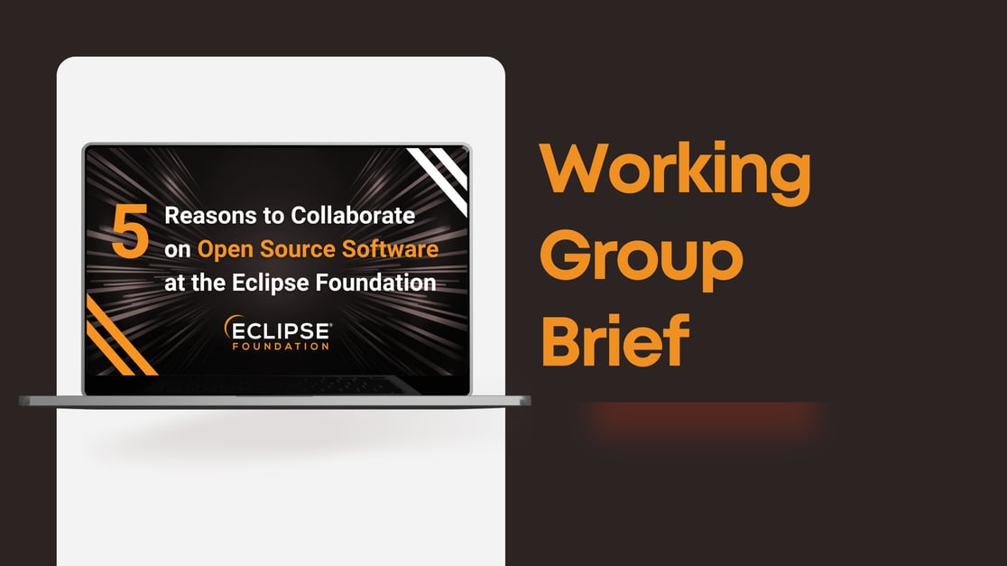 Working Group Brief